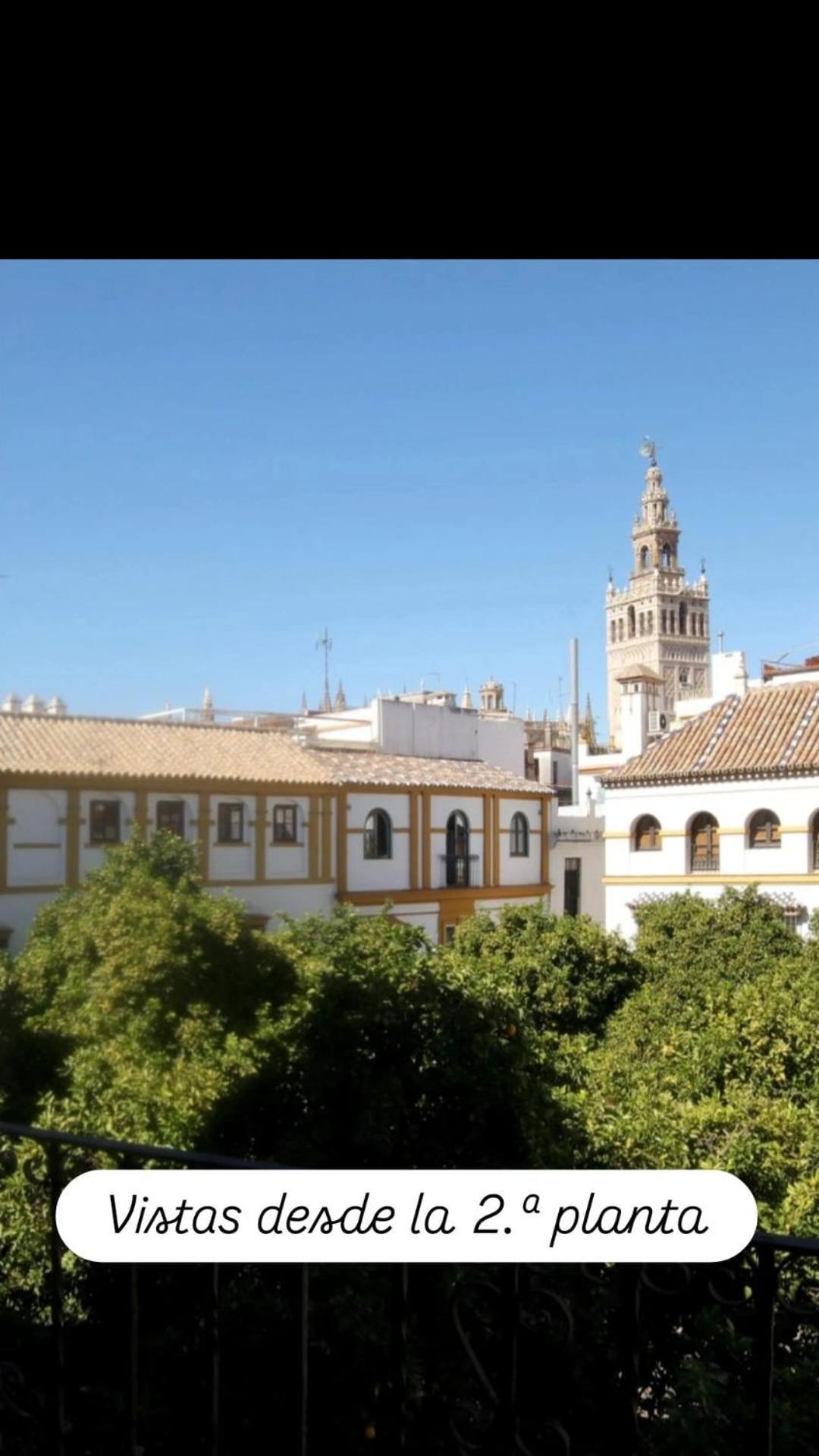 En La Plaza Dona Elvira, 7 *