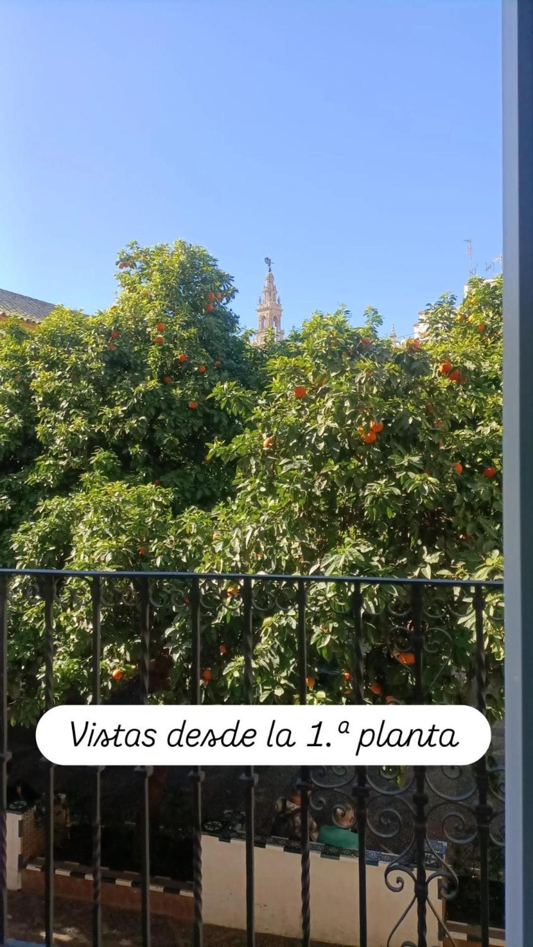 En La Plaza Dona Elvira, 7 *