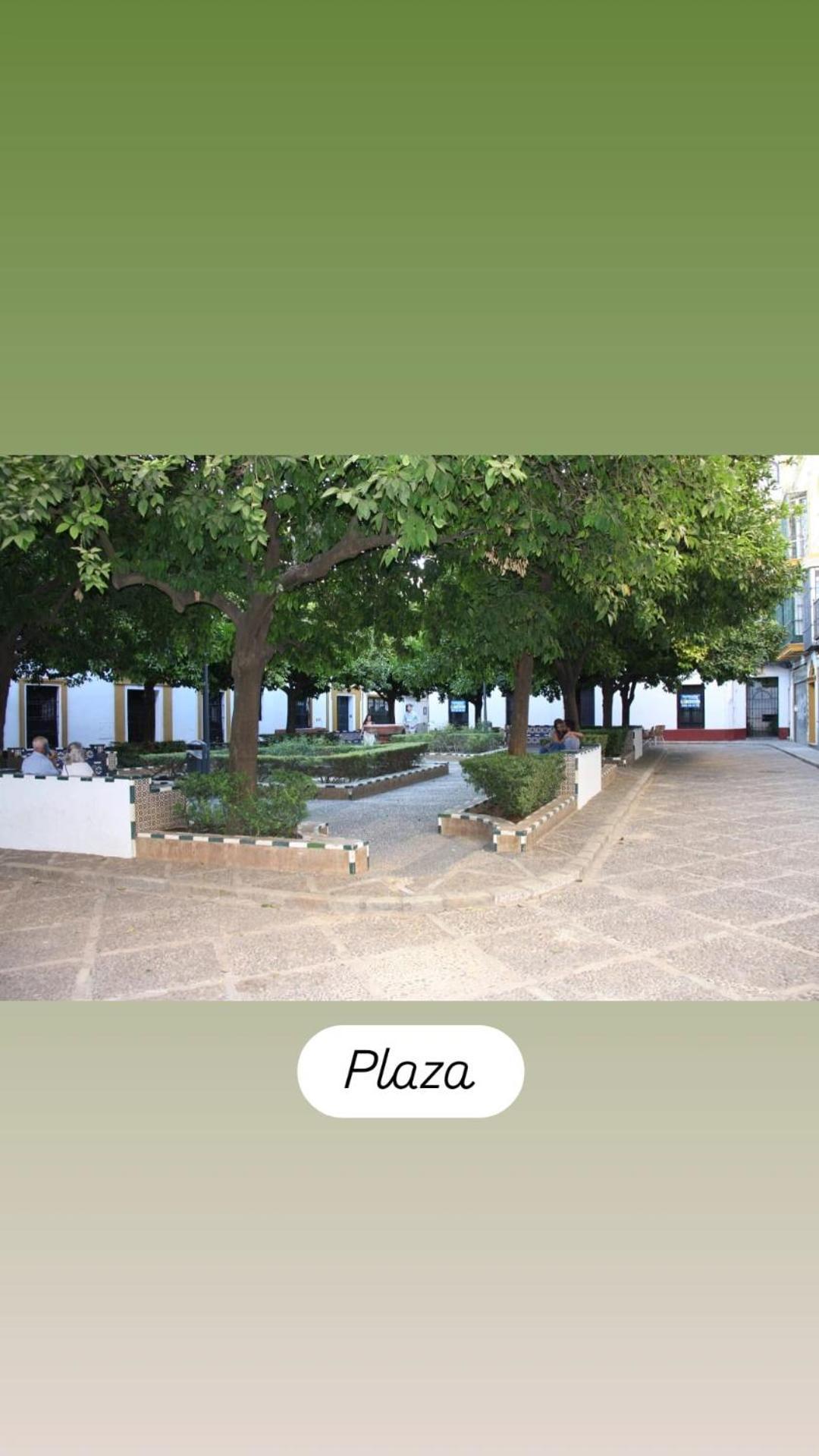 En La Plaza Dona Elvira, 7 Appartement